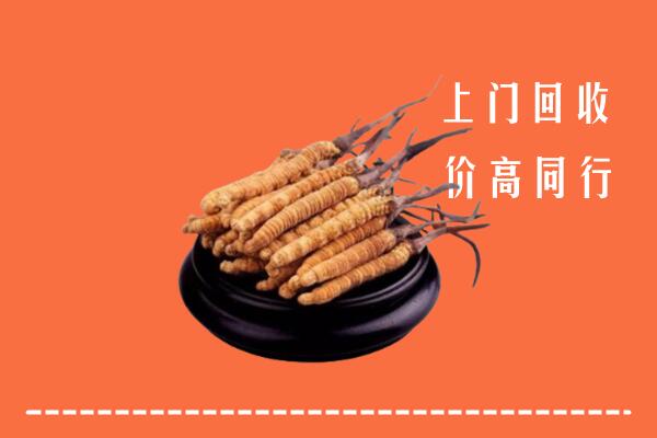 高价求购：金塔县回收散虫草