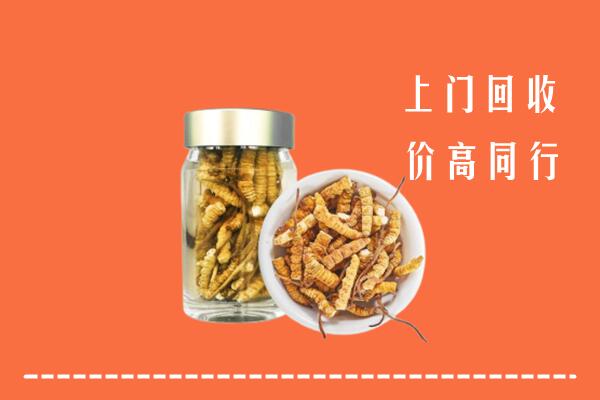 金塔县回收冬虫夏草