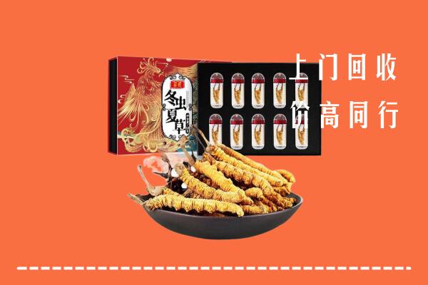 金塔县回收虫草